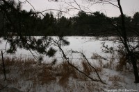 /album/photogallery/field1copyright-jpg/